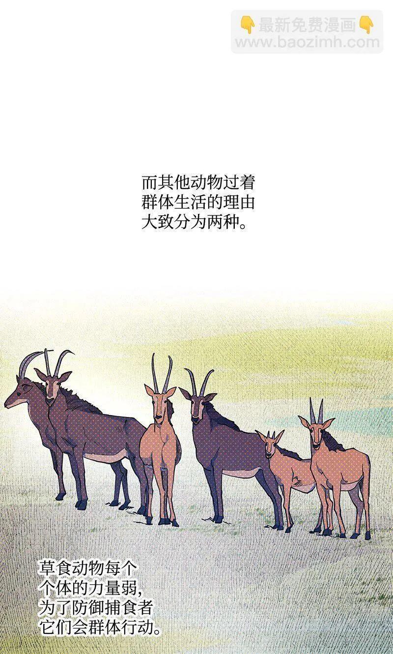 70 要用身体安慰吗 第24页