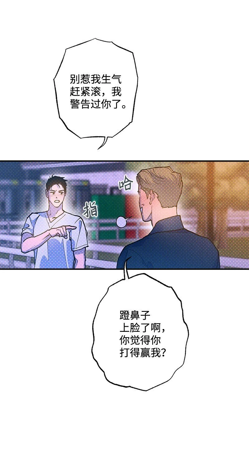 80 试试吧 第48页