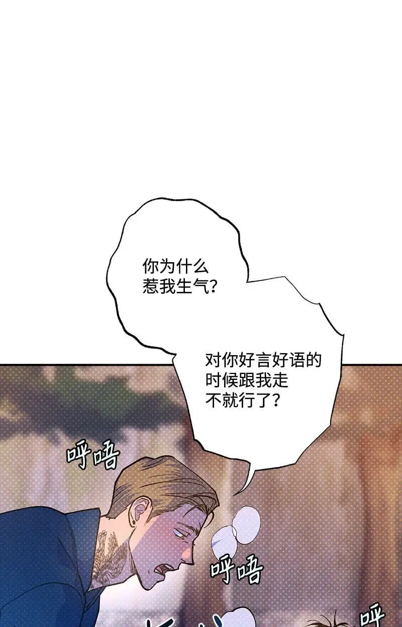 80 试试吧 第63页