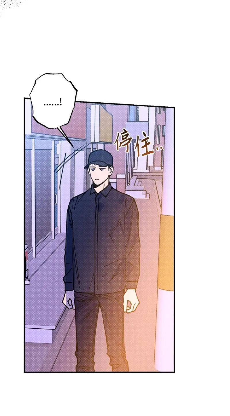 37 二选一 第17页