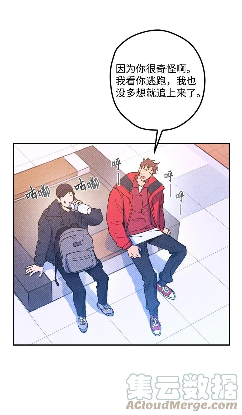 13 你跑，我追，你插翅难飞 第61页