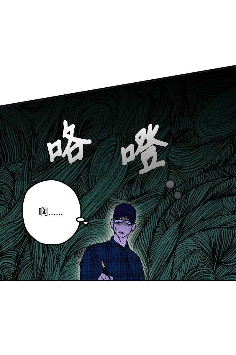 17 复仇 第17页