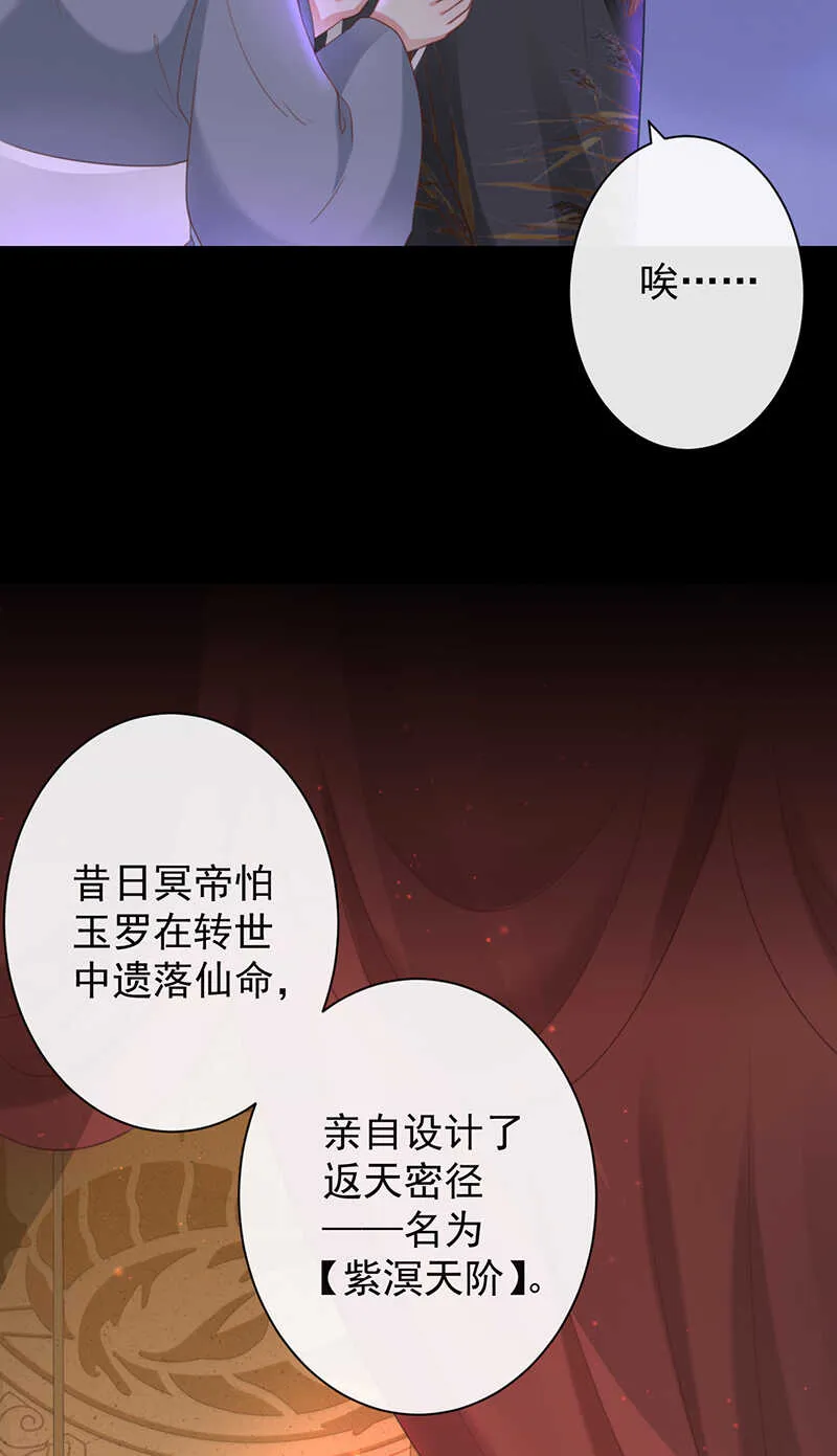 36-天阶现世 第3页