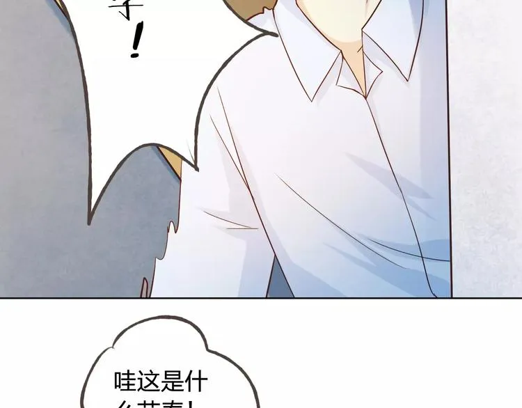 完结篇 今后的我们 第19页