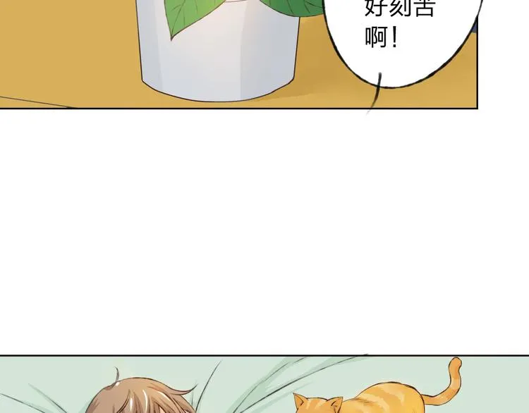 第11话 我是你的筹码 第41页