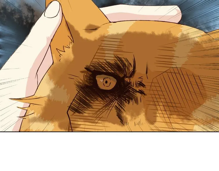 第11话 我是你的筹码 第49页