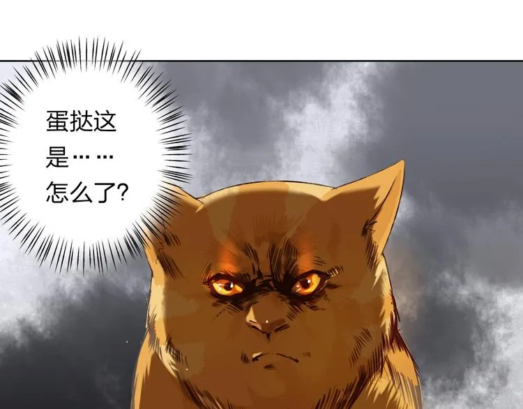 第11话 我是你的筹码 第53页