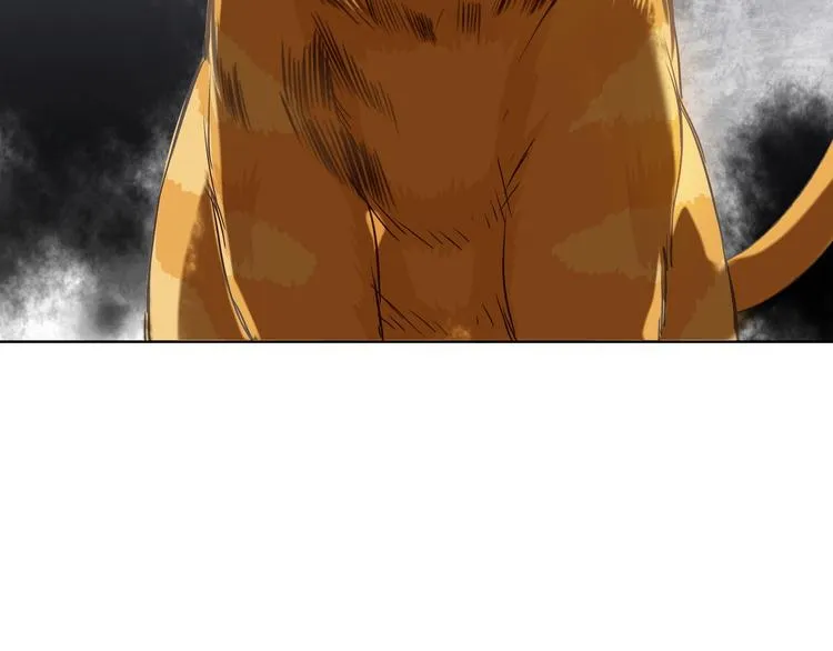 第11话 我是你的筹码 第54页
