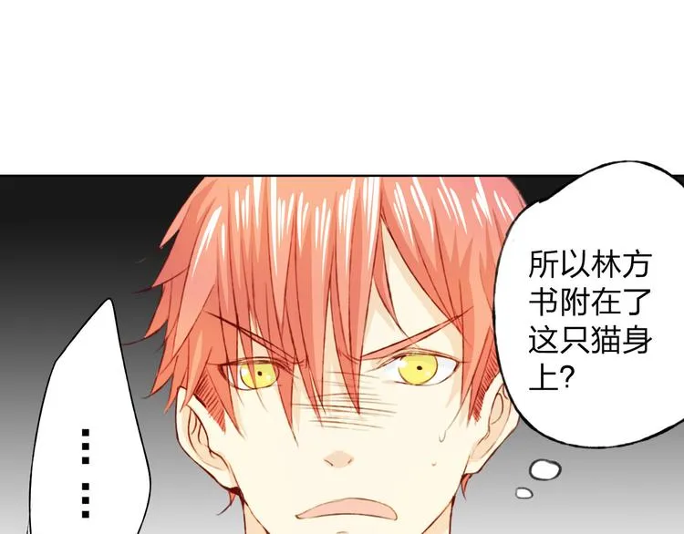第12话 给我卖个萌 第31页