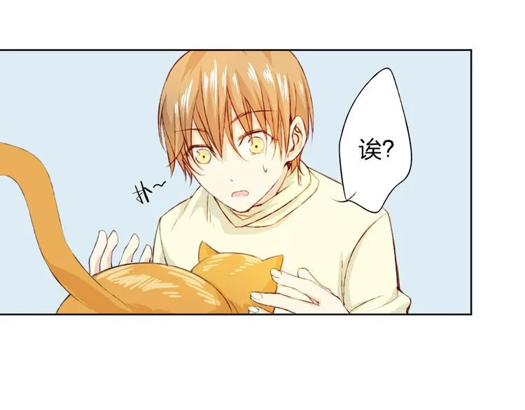 第12话 给我卖个萌 第43页