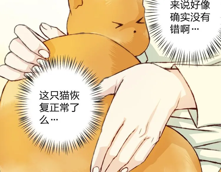 第12话 给我卖个萌 第48页