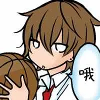 VOL.2附赠表情 第21页