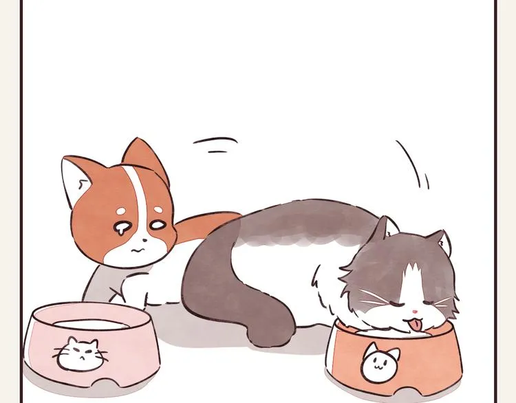 第0284话 亲兄妹1 第10页