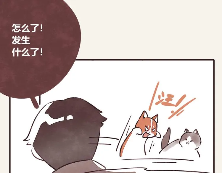 第0284话 亲兄妹1 第17页