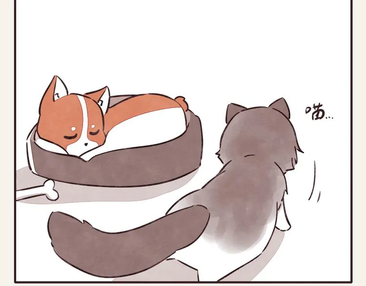 第0291话 亲兄妹4 第2页