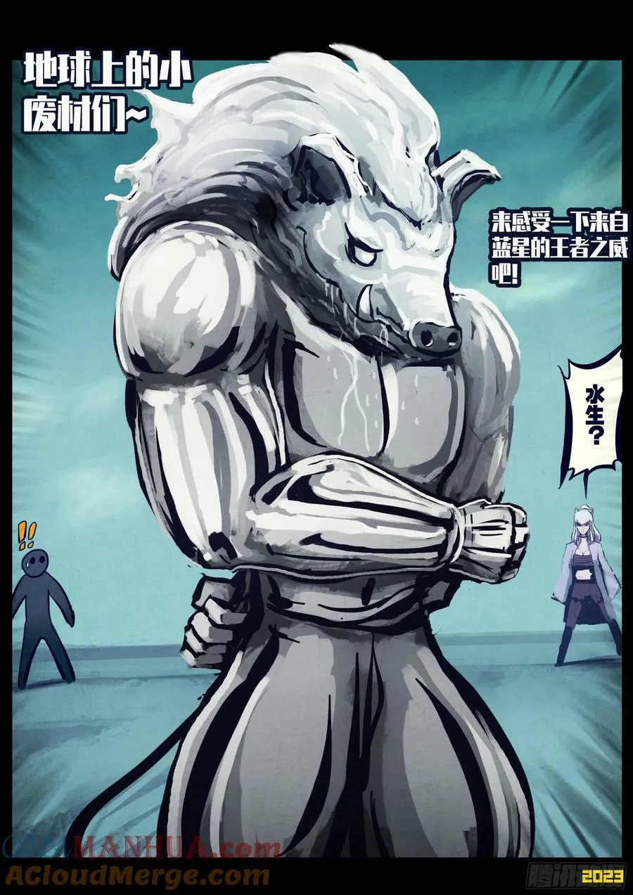 255集 第13页