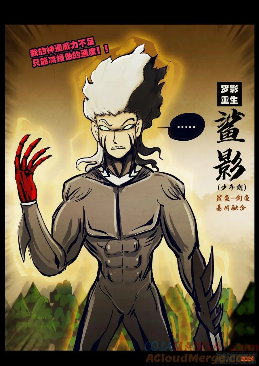 339集 第13页