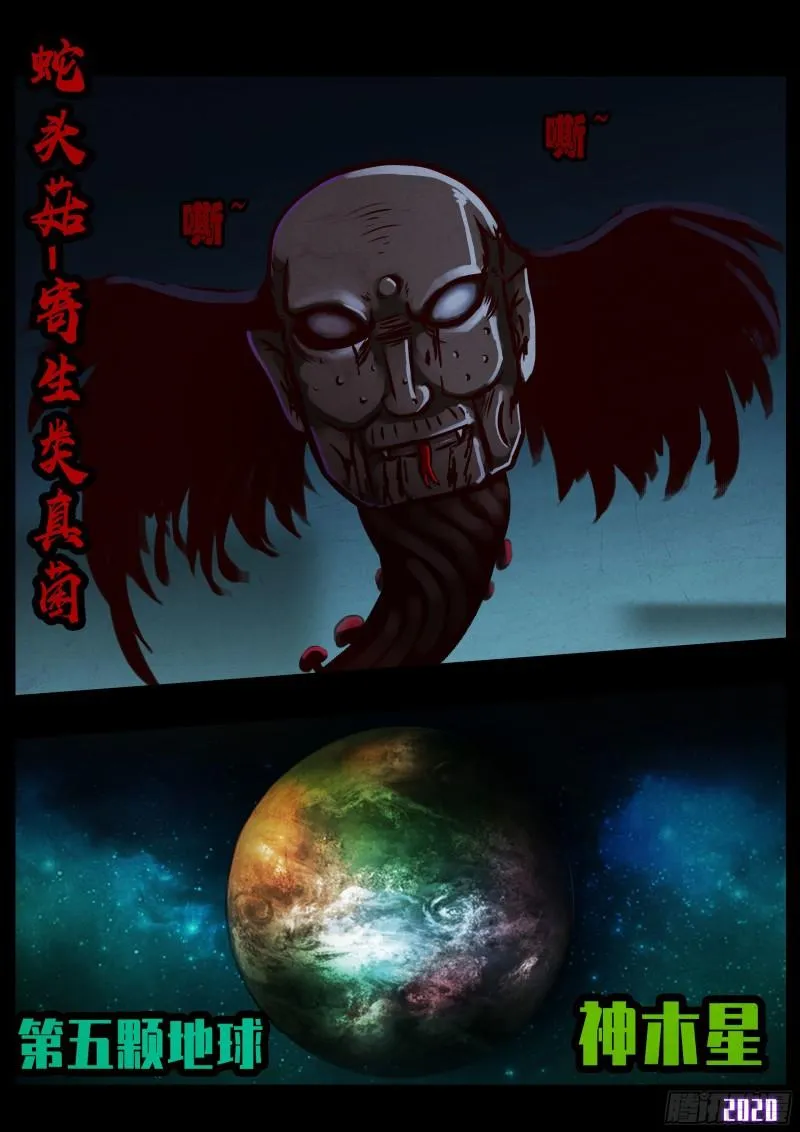 第029集 第13页