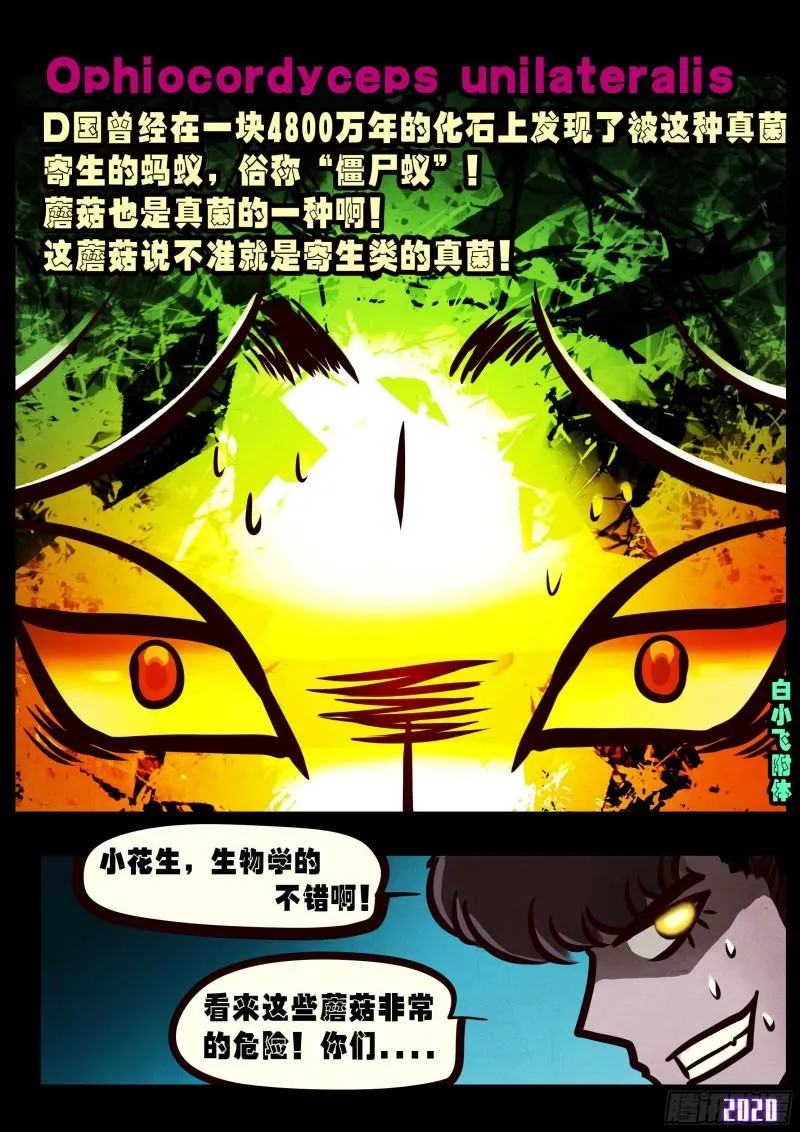 第029集 第19页