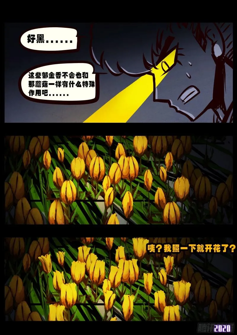 第030集 第12页