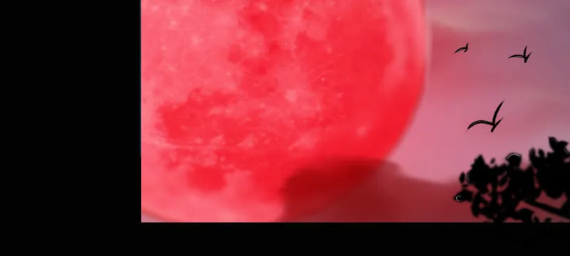 上线预告！！！ 第2页