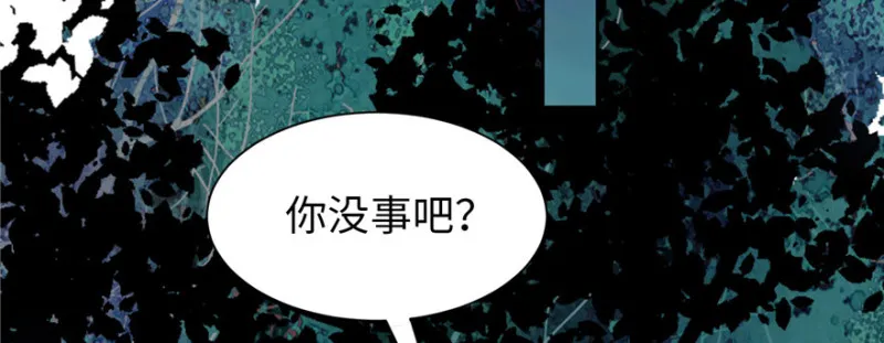 003 第51页