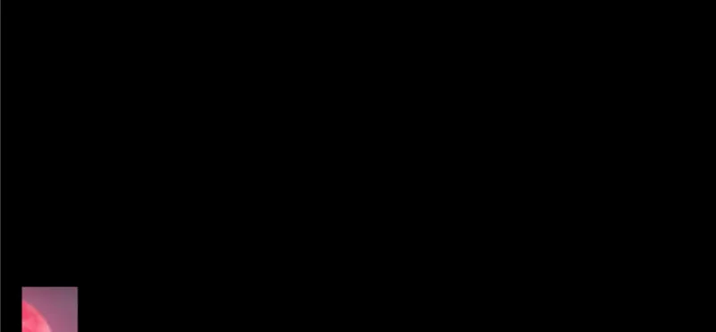 005 第120页