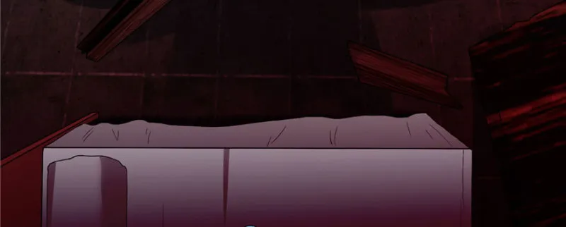 009 第43页