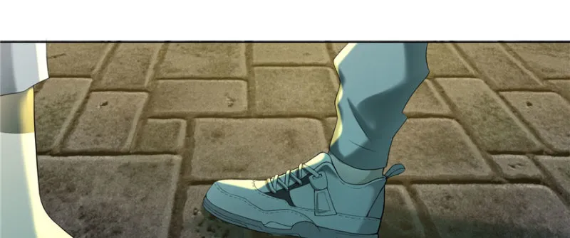 010 第61页