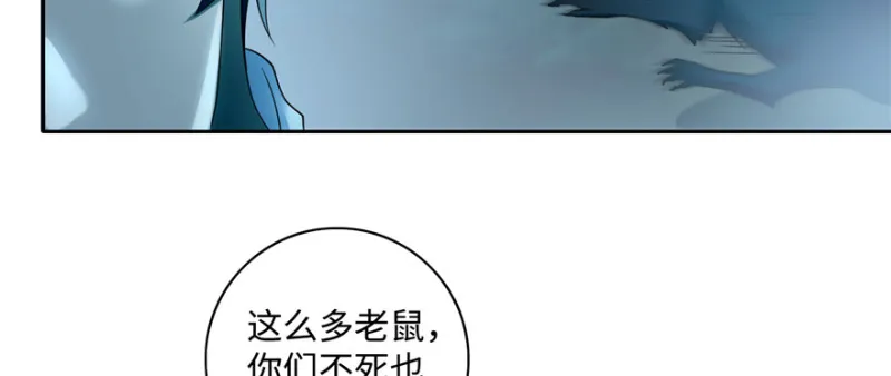041 第6页