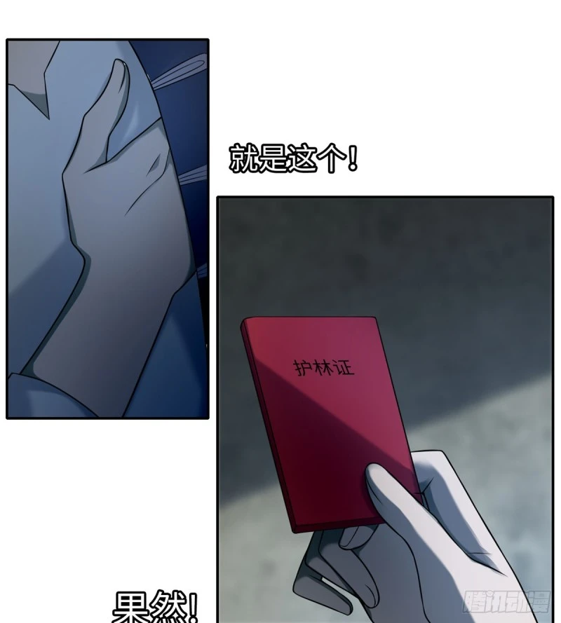 067 第31页