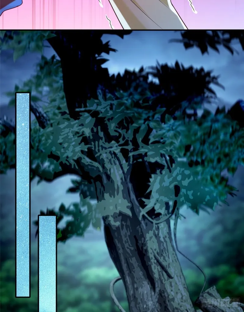 135 第30页