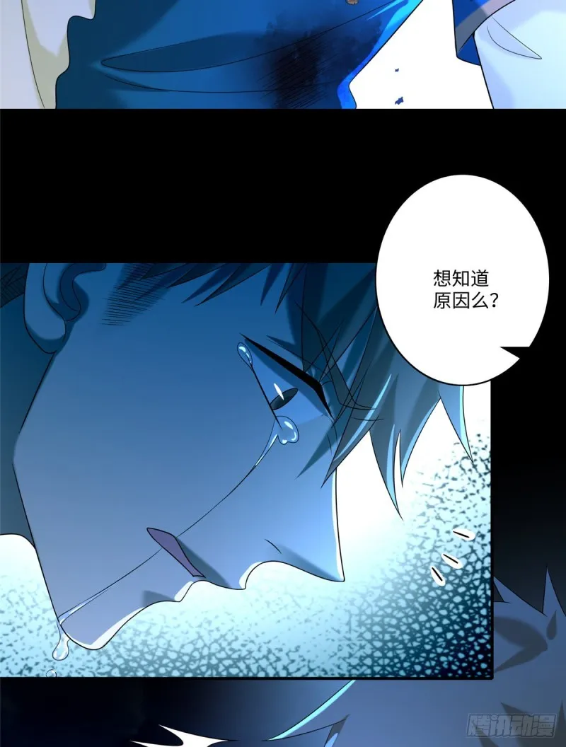 135 第37页