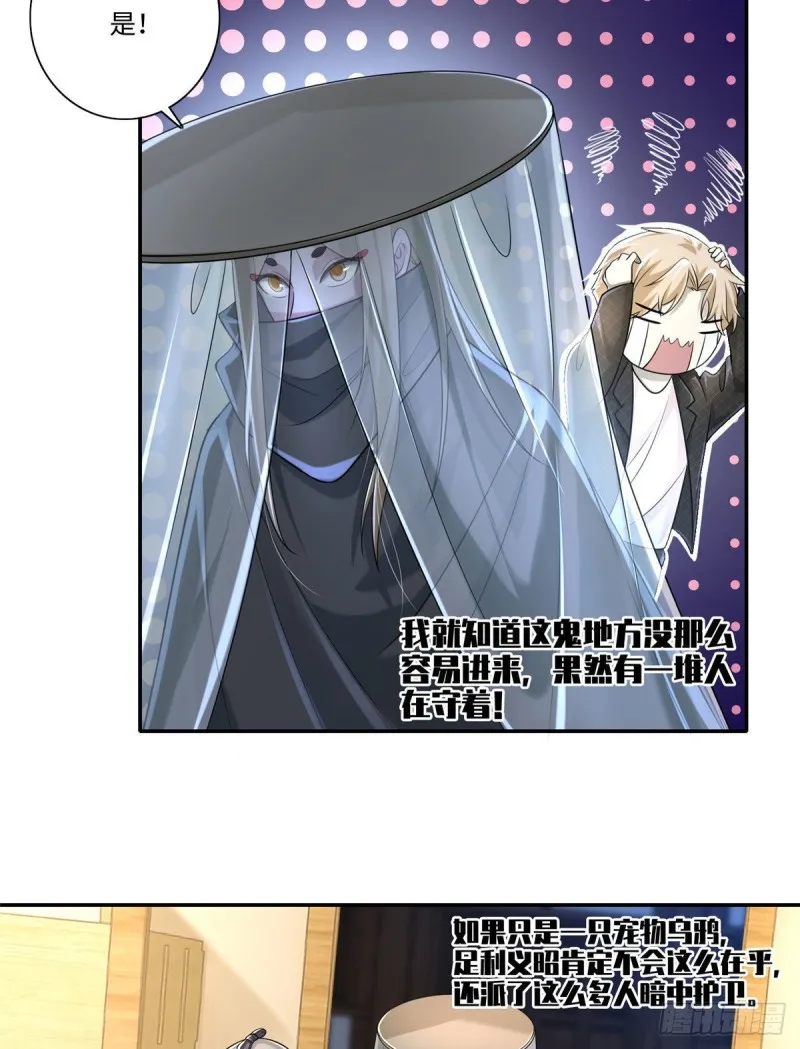 146 第20页