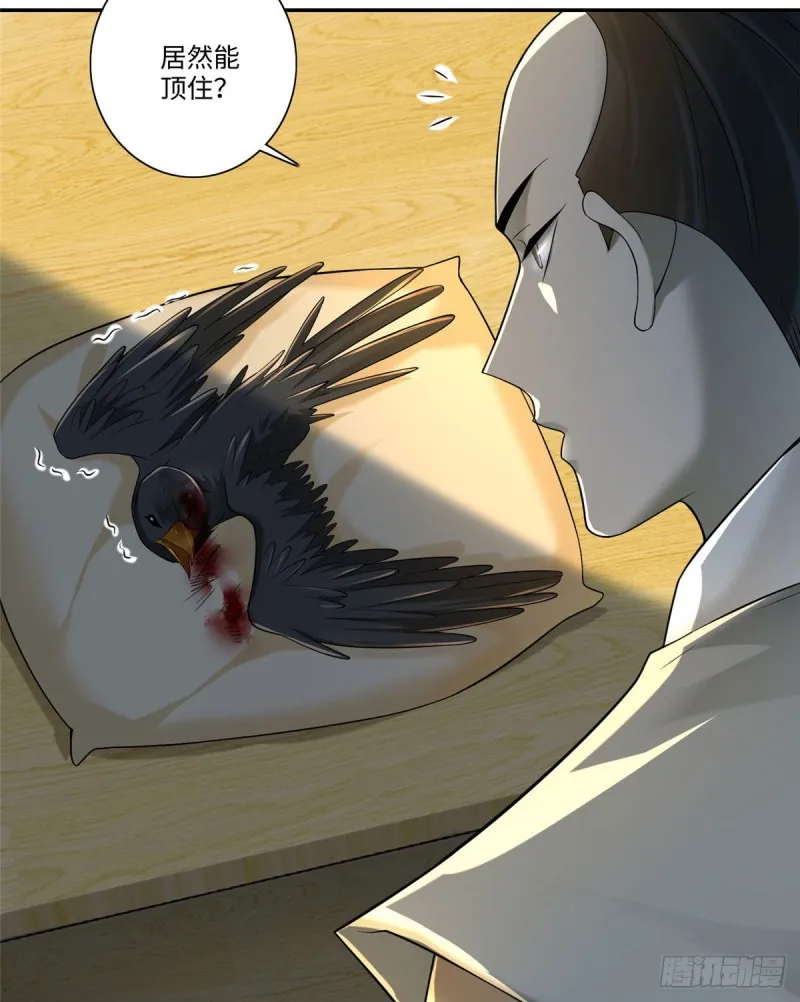 146 第33页