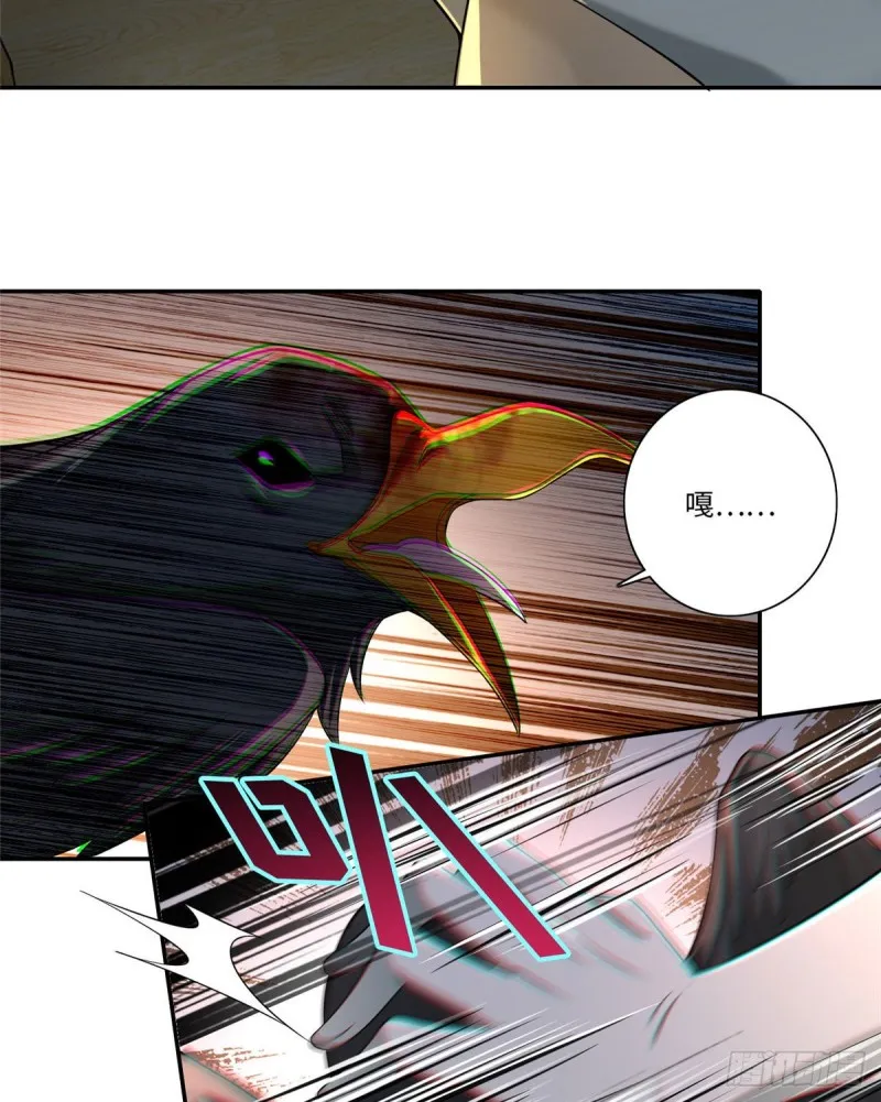 146 第34页