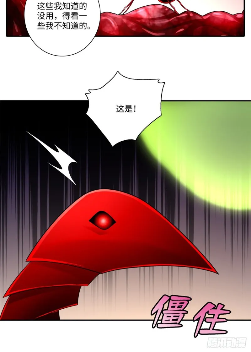 162 第31页