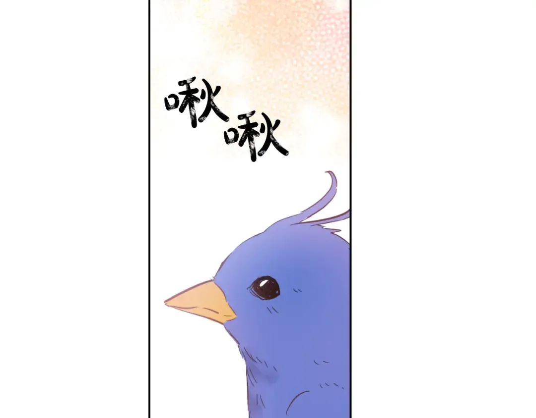 第43话 伊尔的礼物 第60页