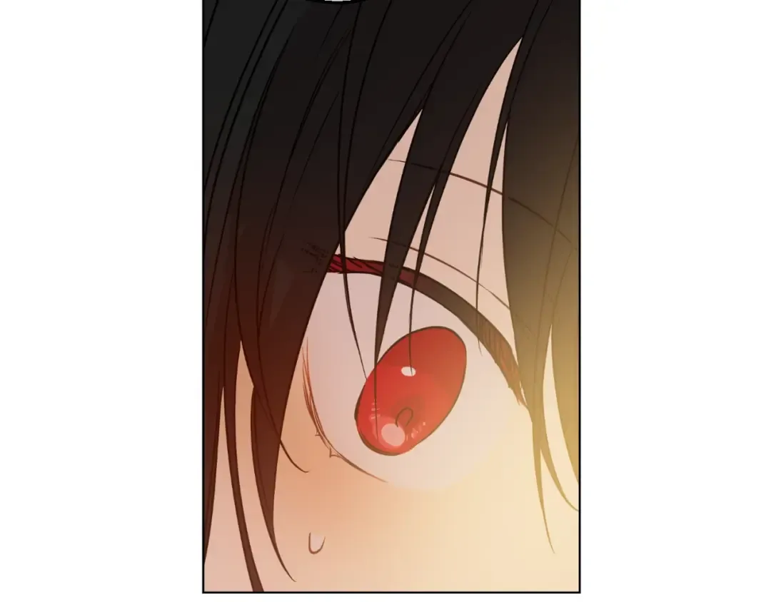 第23话 卢卡斯回宫 第52页