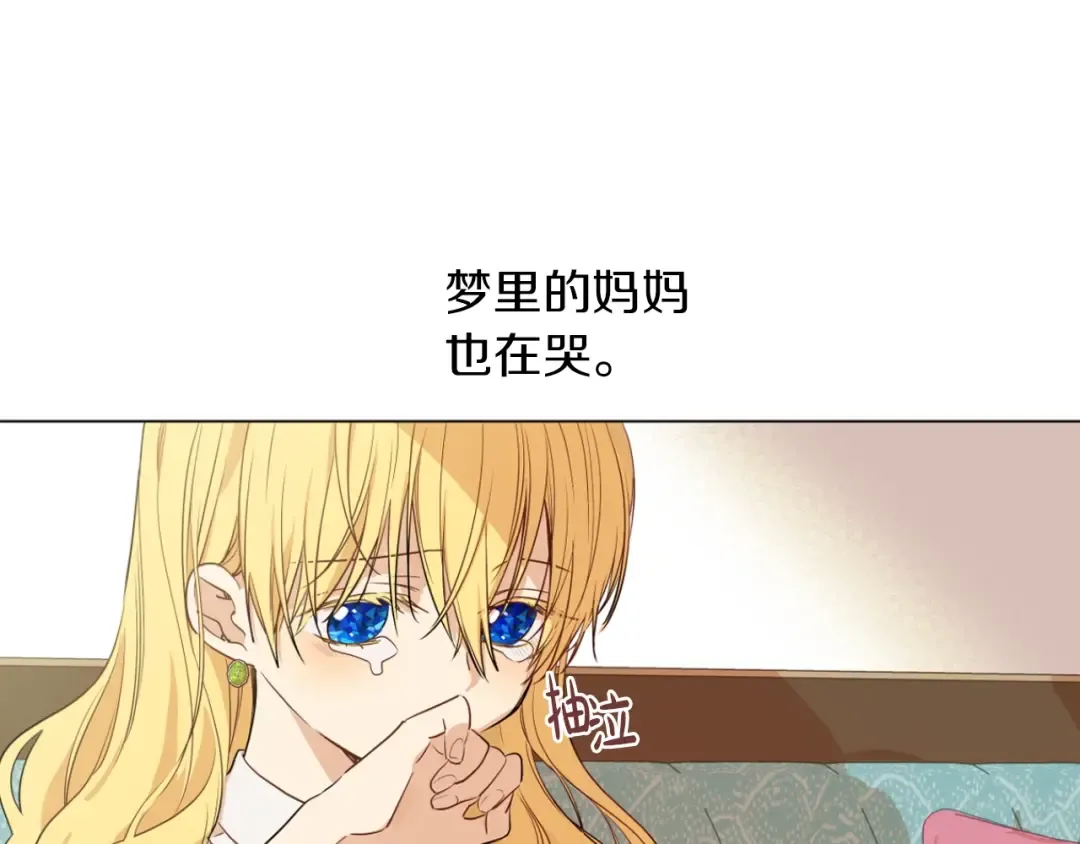 第二季完结篇 不是公主 第17页