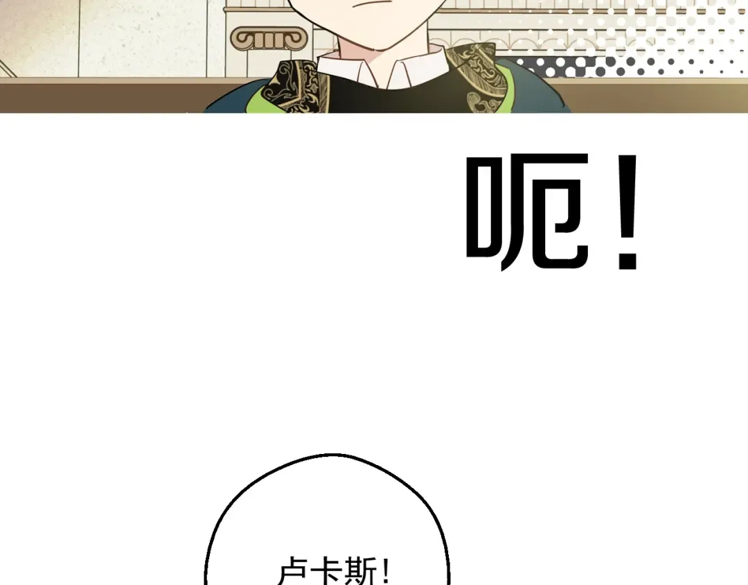 第二季完结篇 不是公主 第25页