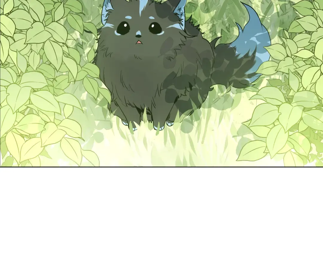 第17话 魔法师少年 第2页