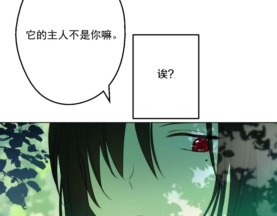 第17话 魔法师少年 第81页