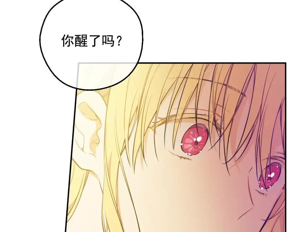 外传第7话 滋补圣品 第25页