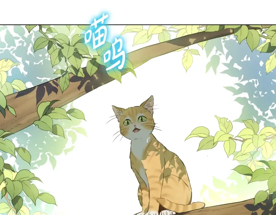 外传第8话 猫咪博士 第6页