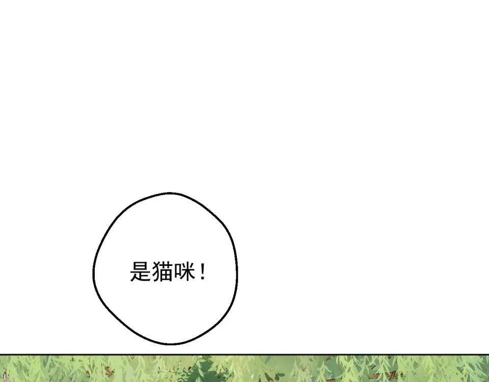 外传第8话 猫咪博士 第12页