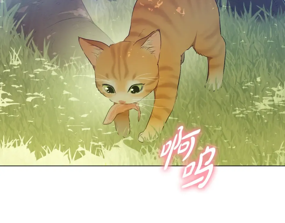 外传第8话 猫咪博士 第31页