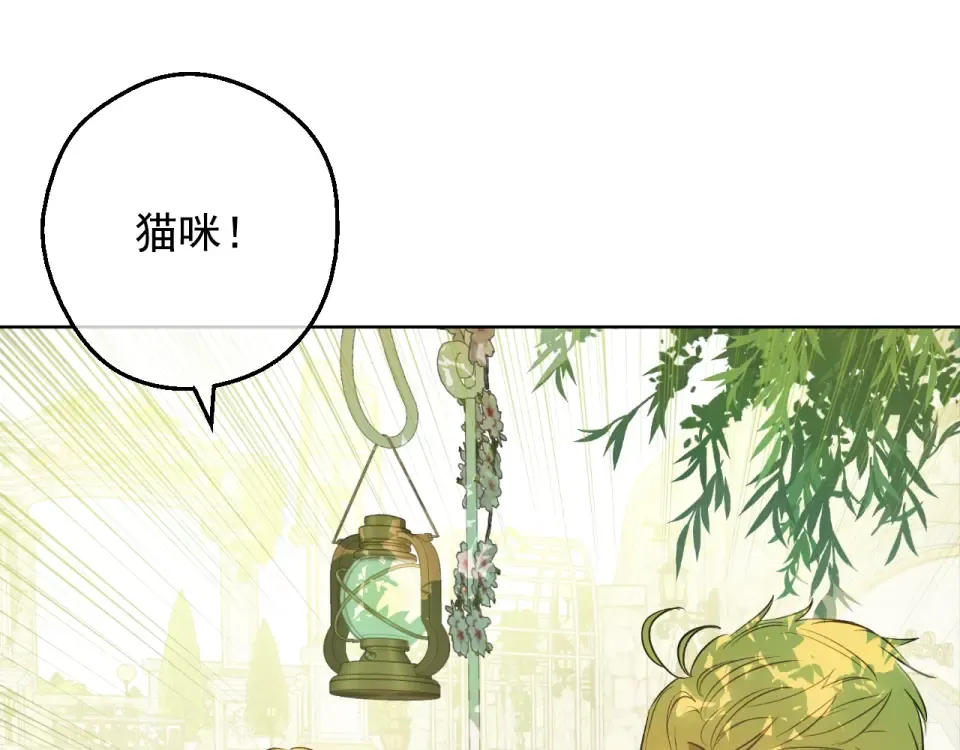 外传第8话 猫咪博士 第50页