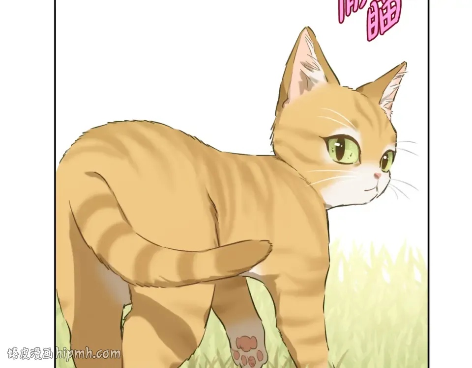 外传第8话 猫咪博士 第56页