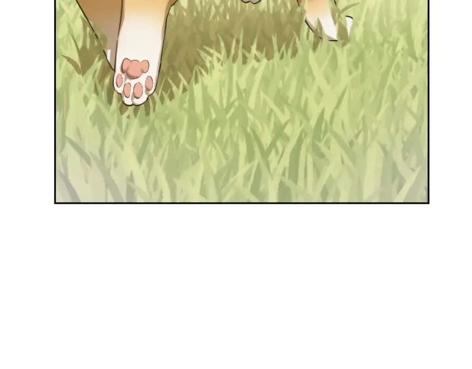 外传第8话 猫咪博士 第57页